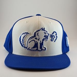 Mitchell & Ness RARE Toronto Huskies Snapback Hat  Blue and White